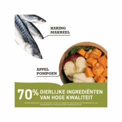 Acana Pacifica Dog Regionals 7 Acana Pacifica Dog Regionals -Premium-Tierbedarfsgeschäft acana pacifica dog regionals 205205 0500 none