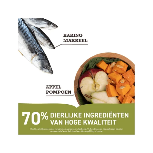 Acana Pacifica Dog Regionals 5 Acana Pacifica Dog Regionals – Bild 3