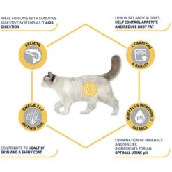 Affinity Advance Sterilized Salmon Sensitive - Katze 16 Affinity Advance Sterilized Salmon Sensitive - Katze -Premium-Tierbedarfsgeschäft affinity advance sterilized salmon sensitive kat 178282 0500 none