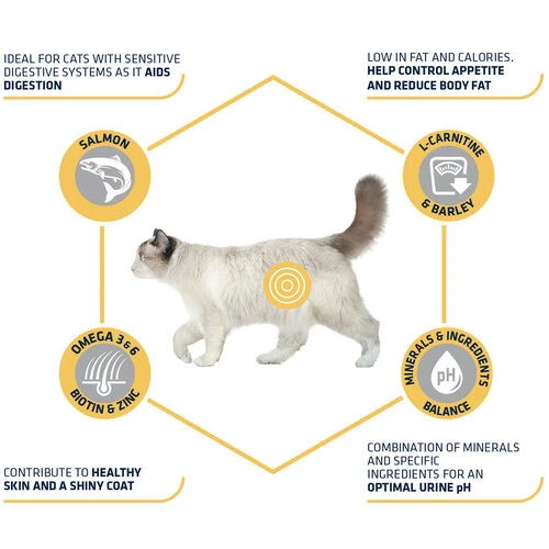 Affinity Advance Sterilized Salmon Sensitive - Katze 8 Affinity Advance Sterilized Salmon Sensitive - Katze – Bild 6