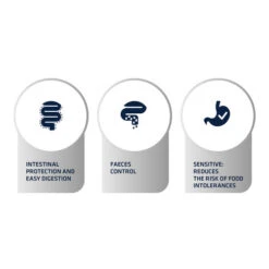 Affinity Advance Veterinary Diets Gastroenteric Sensitive Katze 14 Affinity Advance Veterinary Diets Gastroenteric Sensitive Katze -Premium-Tierbedarfsgeschäft affinity advance veterinary diets gastroenteric sensitive kat 178048 0500 none