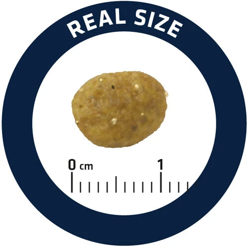 Affinity Advance Veterinary Diets Gastroenteric Sensitive Katze 4 Affinity Advance Veterinary Diets Gastroenteric Sensitive Katze – Bild 2