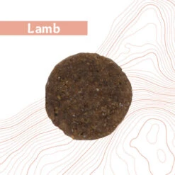 Antelope Fresh Adult Hundefutter 22 Antelope Fresh Adult Hundefutter -Premium-Tierbedarfsgeschäft antelope fresh adult hondenvoer 219963 0500 none