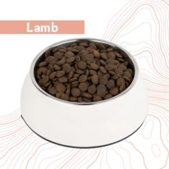 Antelope Fresh Adult Hundefutter 27 Antelope Fresh Adult Hundefutter -Premium-Tierbedarfsgeschäft antelope fresh adult hondenvoer 219964 0500 none