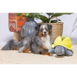 Beeztees Hide And Seek Schildo 8 Beeztees Hide And Seek Schildo -Premium-Tierbedarfsgeschäft beeztees hide and seek schildo 221787 0500 none