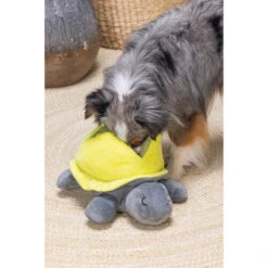 Beeztees Hide And Seek Schildo 9 Beeztees Hide And Seek Schildo -Premium-Tierbedarfsgeschäft beeztees hide and seek schildo 221788 0500 none