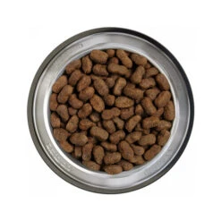 Belcando Adult Getreidefreies Hundefutter 15 Belcando Adult Getreidefreies Hundefutter -Premium-Tierbedarfsgeschäft belcando adult graanvrij 217775 0500 none