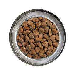 Belcando Adult Getreidefreies Hundefutter 18 Belcando Adult Getreidefreies Hundefutter -Premium-Tierbedarfsgeschäft belcando adult graanvrij 217776 0500 none