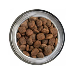 Belcando Adult Getreidefreies Hundefutter 16 Belcando Adult Getreidefreies Hundefutter -Premium-Tierbedarfsgeschäft belcando adult graanvrij 217780 0500 none