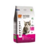 Biofood BF®Petfood Kitten -Premium-Tierbedarfsgeschäft bfpetfood kitten 210506 0500 none