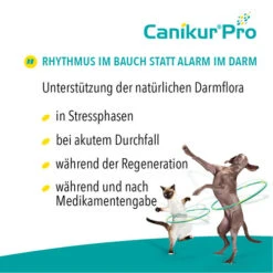 Canikur® Pro Diät-Ergänzungsfuttermittel Für Hunde 9 Canikur® Pro Diät-Ergänzungsfuttermittel Für Hunde -Premium-Tierbedarfsgeschäft canikur pro 213692 0500 none