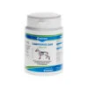 Canina Petvital Canhydrox GAG Tabletten 2 Canina Petvital Canhydrox GAG Tabletten -Premium-Tierbedarfsgeschäft canina canhydrox gag tabletten 220738 0500 none