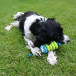 Coockoo Larry -Premium-Tierbedarfsgeschäft coockoo larry 216712 0500 none