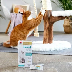 Doppelherz Gelenk Complex Für Katzen 14 Doppelherz Gelenk Complex Für Katzen -Premium-Tierbedarfsgeschäft doppelherz gelenk complex fuer katzen 195053 0500 none