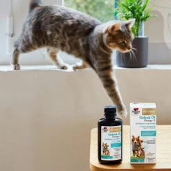 Doppelherz Gelenk Öl Omega-3 Für Katzen Und Hunde -Premium-Tierbedarfsgeschäft doppelherz gelenk oel fuer katzen hunde 195062 0500 none
