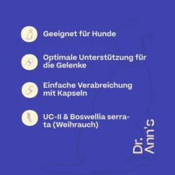 Dr. Ann's Mobility Support Advanced 11 Dr. Ann's Mobility Support Advanced -Premium-Tierbedarfsgeschäft dr anns mobility support advanced 213137 0500 none