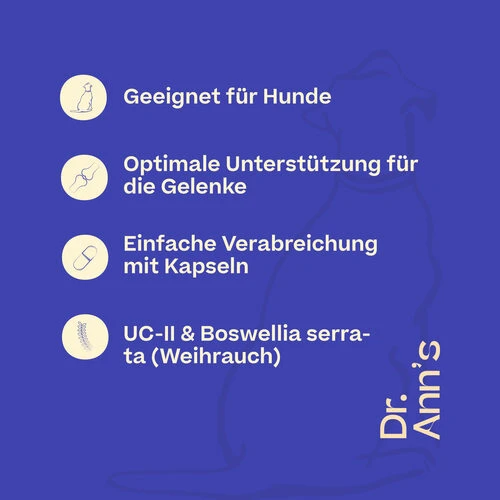 Dr. Ann's Mobility Support Advanced 7 Dr. Ann's Mobility Support Advanced – Bild 5