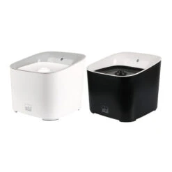 Ebi Manoa Katzenbrunnen