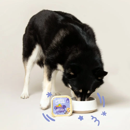 Edgard & Cooper Adult - Rind & Ente - Schälchen 4 Edgard & Cooper Adult - Rind & Ente - Schälchen – Bild 2