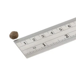 Fish4Dogs Finest Adult Complete - Lachs Kleine Brocken 7 Fish4Dogs Finest Adult Complete - Lachs Kleine Brocken -Premium-Tierbedarfsgeschäft fish4dogs finest adult complete zalm kleine brok 160949 0500 none