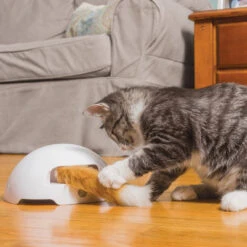 FroliCat Fox 11 FroliCat Fox -Premium-Tierbedarfsgeschäft frolicat fox 136594 0500 none