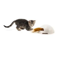 FroliCat Fox 10 FroliCat Fox -Premium-Tierbedarfsgeschäft frolicat fox 136600 0500 none