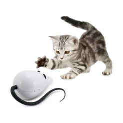 FroliCat RoloRat -Premium-Tierbedarfsgeschäft frolicat rolorat 136585 0500 none