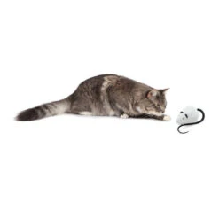 FroliCat RoloRat -Premium-Tierbedarfsgeschäft frolicat rolorat 136588 0500 none