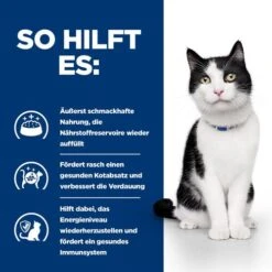 Hill's I/d Digestive Care Ragout - Prescription Diet - Feline 12 Hill's I/d Digestive Care Ragout - Prescription Diet - Feline -Premium-Tierbedarfsgeschäft hills id digestive care stoofpotje prescription diet feline 212129 0500 none