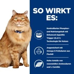 Hill's K/d + Mobility - Prescription Diet - Feline 13 Hill's K/d + Mobility - Prescription Diet - Feline -Premium-Tierbedarfsgeschäft hills kd mobility prescription diet feline 212462 0500 none