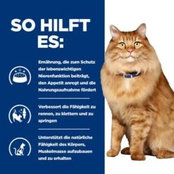 Hill's K/d + Mobility - Prescription Diet - Feline 14 Hill's K/d + Mobility - Prescription Diet - Feline -Premium-Tierbedarfsgeschäft hills kd mobility prescription diet feline 212465 0500 none