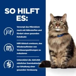 Hill's Prescription Diet - Gastrointestinal Biome - Katzenfutter 12 Hill's Prescription Diet - Gastrointestinal Biome - Katzenfutter -Premium-Tierbedarfsgeschäft hills prescription diet gastrointestinal biome kattenvoer 211916 0500 none