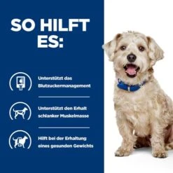Hill's Prescription Diet W/d Diabetes Care - Canine 17 Hill's Prescription Diet W/d Diabetes Care - Canine -Premium-Tierbedarfsgeschäft hills prescription diet wd diabetes care canine 218175 0500 none