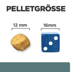 Hill's Prescription Diet W/d Diabetes Care - Canine 13 Hill's Prescription Diet W/d Diabetes Care - Canine -Premium-Tierbedarfsgeschäft hills prescription diet wd diabetes care canine 218176 0500 none