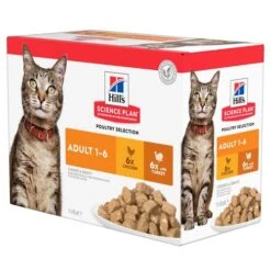 Hill's Science Plan - Feline Adult - Chicken/Poultry -Premium-Tierbedarfsgeschäft hills science plan feline adult chickenpoultry 143024 0500 none