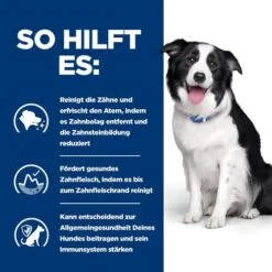 Hill's T/d Dental Care - Prescription Diet - Canine 9 Hill's T/d Dental Care - Prescription Diet - Canine -Premium-Tierbedarfsgeschäft hills td dental care prescription diet canine 218121 0500 none