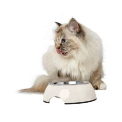 Hunter Melamin Napf - Weiß 11 Hunter Melamin Napf - Weiß -Premium-Tierbedarfsgeschäft hunter melamine voer en drinkbak wit 169570 0500 none