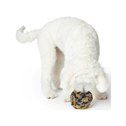 Hunter Schnüffelball Eiby 4 Hunter Schnüffelball Eiby – Bild 2