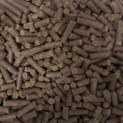 Kivo Frischer Lachs Getreidefrei -Premium-Tierbedarfsgeschäft kivo verse zalm graanvrij 209597 0500 none