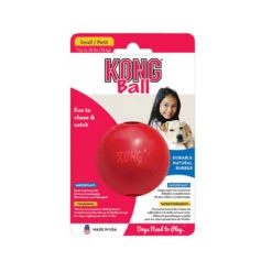 KONG Ball -Premium-Tierbedarfsgeschäft kong ball 162382 0500 none