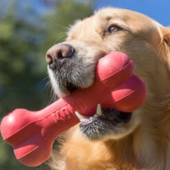 KONG Goodie Bone -Premium-Tierbedarfsgeschäft kong goodie bone 194186 0500 none