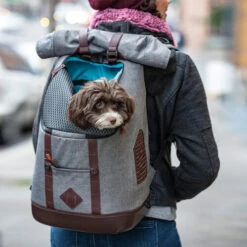 Kurgo K9 Rucksack 9 Kurgo K9 Rucksack -Premium-Tierbedarfsgeschäft kurgo k9 rugzak 208103 0500 none