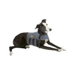 Petlife KarmaWrap Für Hunde -Premium-Tierbedarfsgeschäft petlife karmawrap hond 154186 0500 none
