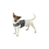 Petlife KarmaWrap Für Hunde 2 Petlife KarmaWrap Für Hunde -Premium-Tierbedarfsgeschäft petlife karmawrap hond 154189 0500 none