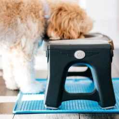 Popware Pet Bowl Grippmat 9 Popware Pet Bowl Grippmat -Premium-Tierbedarfsgeschäft popware pet bowl grippmat 164719 0500 none