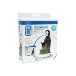 Catit Senses Katzengrassamenset 8 Catit Senses Katzengrassamenset -Premium-Tierbedarfsgeschäft product catit senses grass garden none 4 1465980441 69891