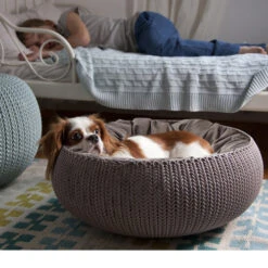 Curver Cozy Pet Bed 9 Curver Cozy Pet Bed -Premium-Tierbedarfsgeschäft product curver petlife cozy pet bed none 4 1470230115 72682