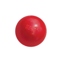 KONG Ball -Premium-Tierbedarfsgeschäft product kong ball none 4 1466058813 69918