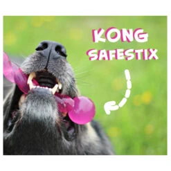 KONG Safestix -Premium-Tierbedarfsgeschäft product kong safestix none 4 1458633926 66969