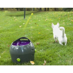 PetSafe Automatischer Ballwerfer -Premium-Tierbedarfsgeschäft product petsafe ball launcher none 4 1472637635 77137